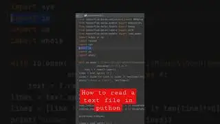 How to Read a Text File In Python 