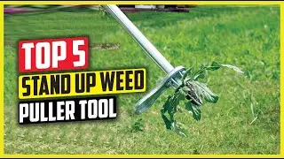Best Stand Up Weed Puller Tool