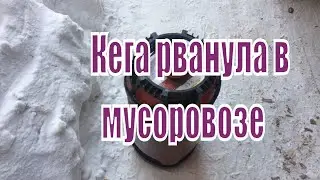 Взрыв пивной кеги в мусоровозе. Кега рванула. Пластиковая кега взорвалась.