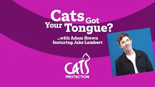 Cats Got Your Tongue? podcast with Jake Lambert 🐱🎙️ My cat with one eye