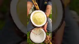 Sprouted Coconut ASMR 🔊