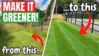 How to get a THICKER and GREENER LAWN - It's time to keep lawn care SIMPLE