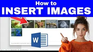 How to INSERT IMAGES Into a WORD Document (Best & Easiest Methods!)