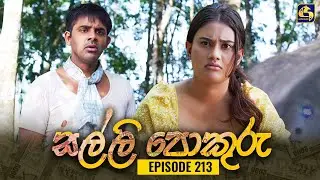 SALLI POKURU || EPISODE 213 || සල්ලි පොකුරු || 30th April 2024