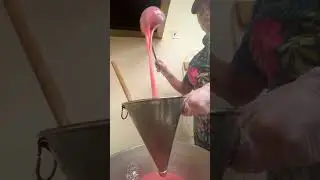 Forbidden mozzarella 🤌🇮🇹