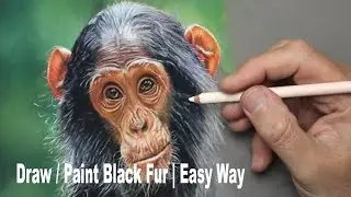 How to draw / paint black fur ~ Pastel Painting Tutorial of a Chimpanzee. Part 2