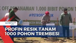 Profin Resik Tanam 1000 Pohon Trembesi