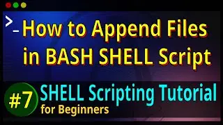 07 | How to Append any File in BASH Shell Script