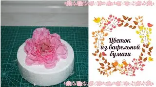 Цветок из вафельной бумаги. Просто и эффектно!