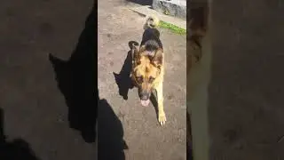 Вот такой пацан!