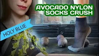 Food  crush,  AVOCADO NYLON SOCKS CRUSH