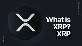 What is XRP? Ripple Explained - Beginner's Guide to Cryptocurrency 2024