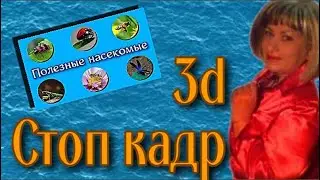 Стоп кадр с 3d эффектом без Фотошопа
