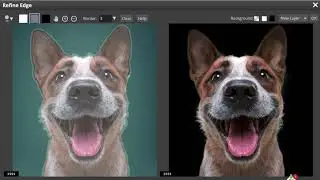 Photopea Quick Selection, Refine Edge  Dog