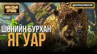 Шөнийн бурхан Ягуар - АМЬТДЫН ЕРТӨНЦ