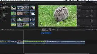 Final Cut Pro X 10.3 -  Match Audio