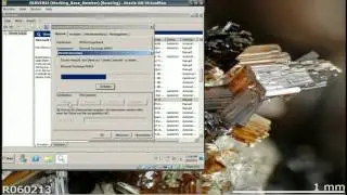 Zabbix Multilingual Exchange Enterprise
