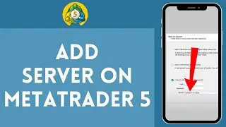 How to Add Server in Metatrader 5 in 2024 | Metatrader 5 Tutorial