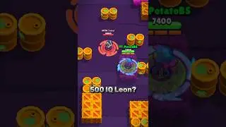 500 IQ Leon