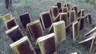Осенняя осушка маломёдных рамок
