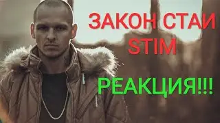 Реакция на ST1M - Закон стаи (OST 