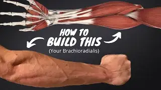 The 2 Science-Based KEYS to Building the BRACHIORADIALIS!! (Forearm Series Part 1 of 3)