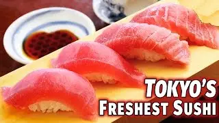 Tokyos Freshest Sushi | Tsukiji Fishmarket