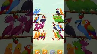 short puzzle bird puzzles and new games 2024