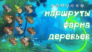 Genshin Impact фарм всех видов деревьев | маршруты фарма