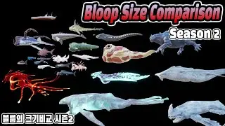 Bloop Size Comparison : Season 2 (블룹 크기비교 시즌2)