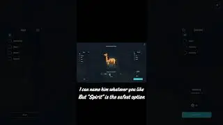 The only FREE HORSE in Star Stable Online