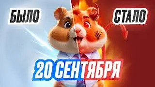 🐹 HAMSTER KOMBAT - Как За 2 Дня Вывести Деньги !