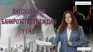 Внесудебное банкротство граждан | 1 ч.