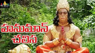 Hanuman Chalisa Telugu Full Movie | Vindu Dara Singh, Suman, AVS