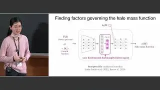 Explaining dark matter halo abundance with interpretable deep learning