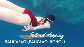 Balicasag Island & Virgin Island (Panglao, Bohol) Island Hopping January 2023