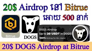 Bitrue អោយ 20$ DOGS Airdrop 500 នាក់ / DOGS 20$ Airdrop at Bitrue