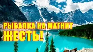#ПОИСКОВЫЙ