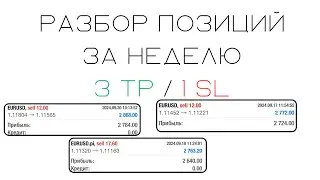 Разбор позиций за неделю от 23 Сентября | Смарт Мани | Трейдинг