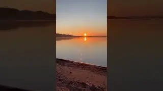 Обзор на вечер #юмор #shorts #мывместе2024 #shortsfeed #лето2024 #папа #семья #прогулка