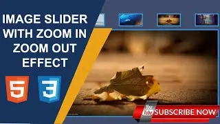 Image Slider Zoom In/Out Effect||Cool CSS Effect||No JavaScript||Must Watch