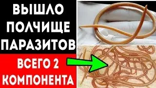 ЧИСТКА КИШЕЧНИКА от 