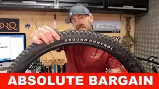 Specialized Ground Control Mountain Bike Tire Review. Great Tire, Insane Price