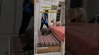 А во сколько лет ты узнал что 