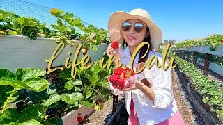 🇺🇸 vlog | come strawberry picking with me 🍓 Tanaka Farms, Irvine CA