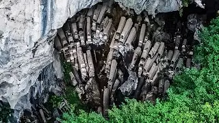 Drones Camera Caught Something Incredible