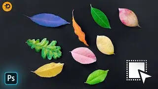 Use Of New Object Selection Tool In Adobe Photoshop 2024 | Object Selection Tool Photoshop Tutorial