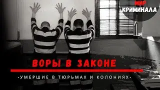 Воры в законе, умершие в тюрьмах и колониях | Вова Вагон | Вася Бриллиант | Юрий Горбатый и др.