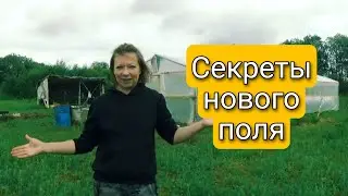 Новое поле для сада и огорода Светланы Самойловой 🌱