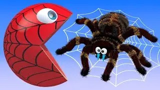 PacMan Kid at the Farm as he finds Colorful Watermelon Lollipops and meets Spider